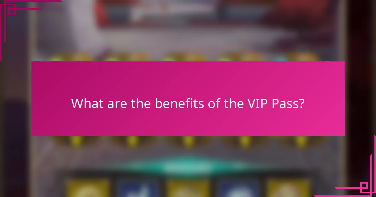 What are the benefits of the VIP Pass?